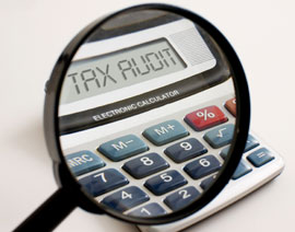 tax_audit_calculator