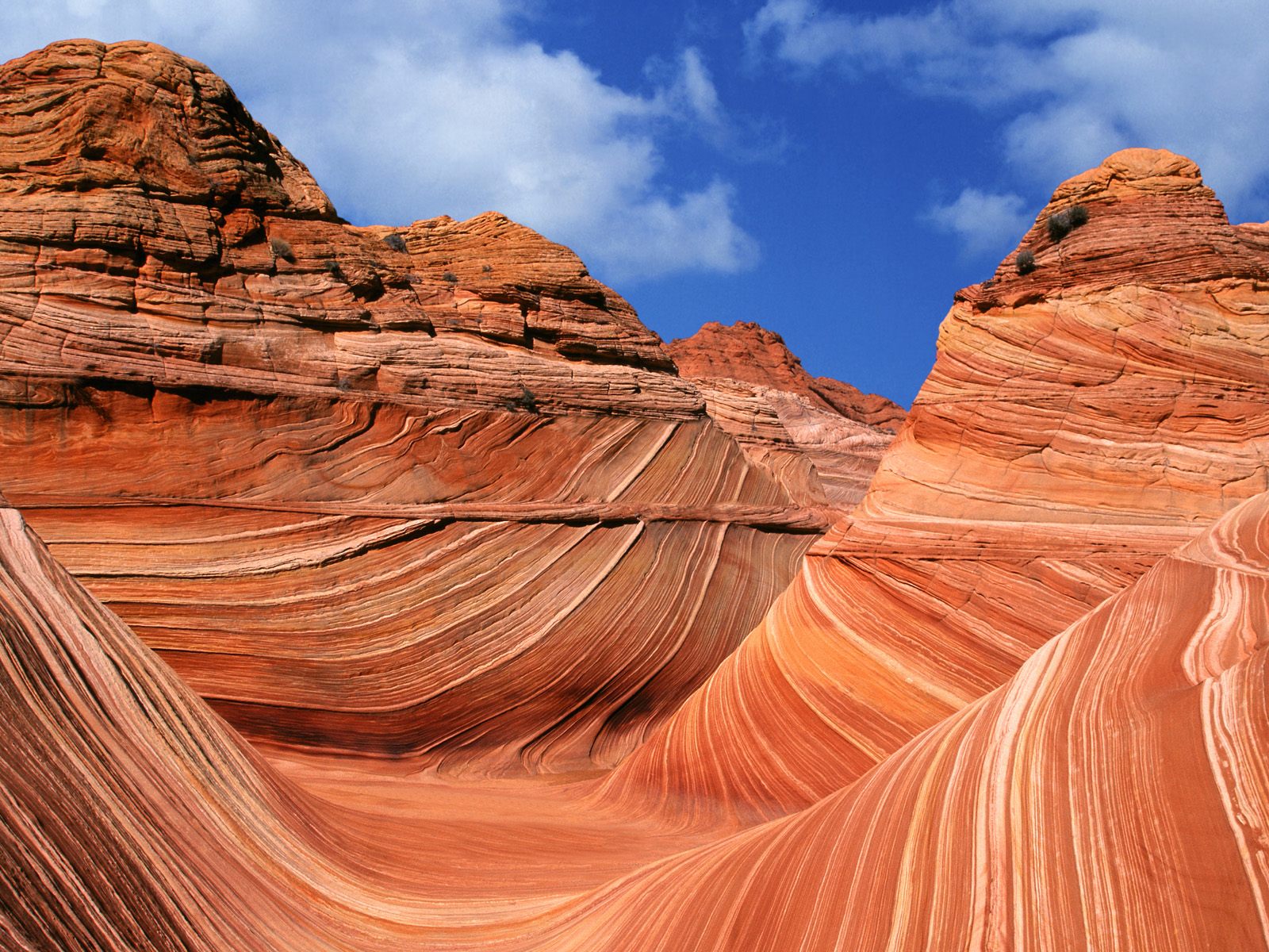 The_Wave_Paria_Canyon_Vermilion_Cliffs_Wilderness_Area_Arizona-1